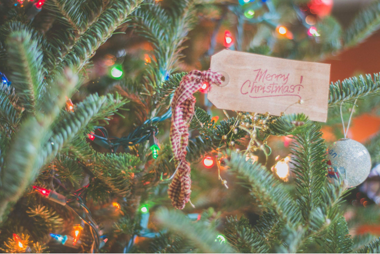 Your Christmas Barn Wedding in Fort Myers